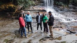 Activity Blue Mountains Nature and Wildlife Tour