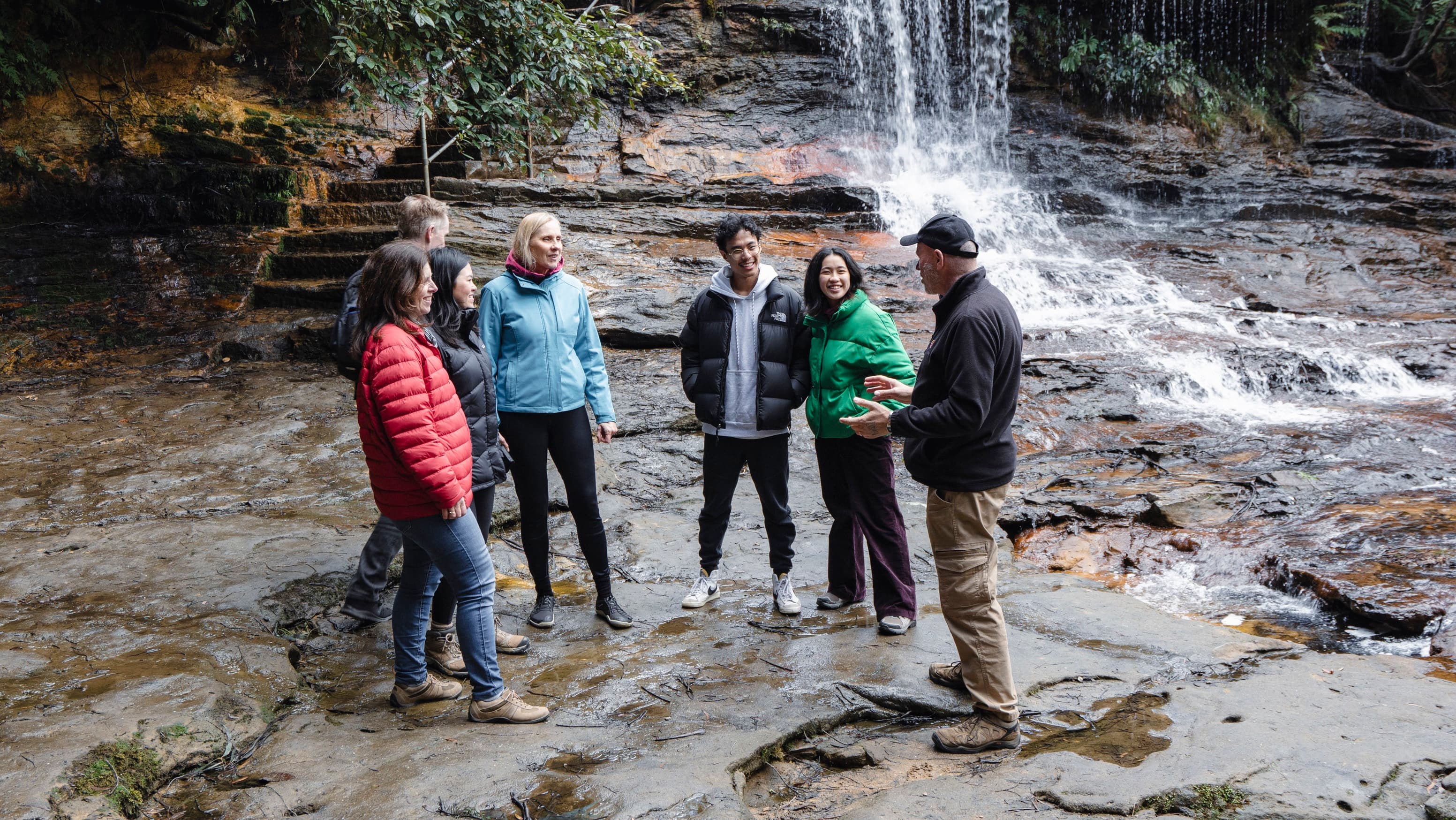Activity Blue Mountains Nature and Wildlife Tour