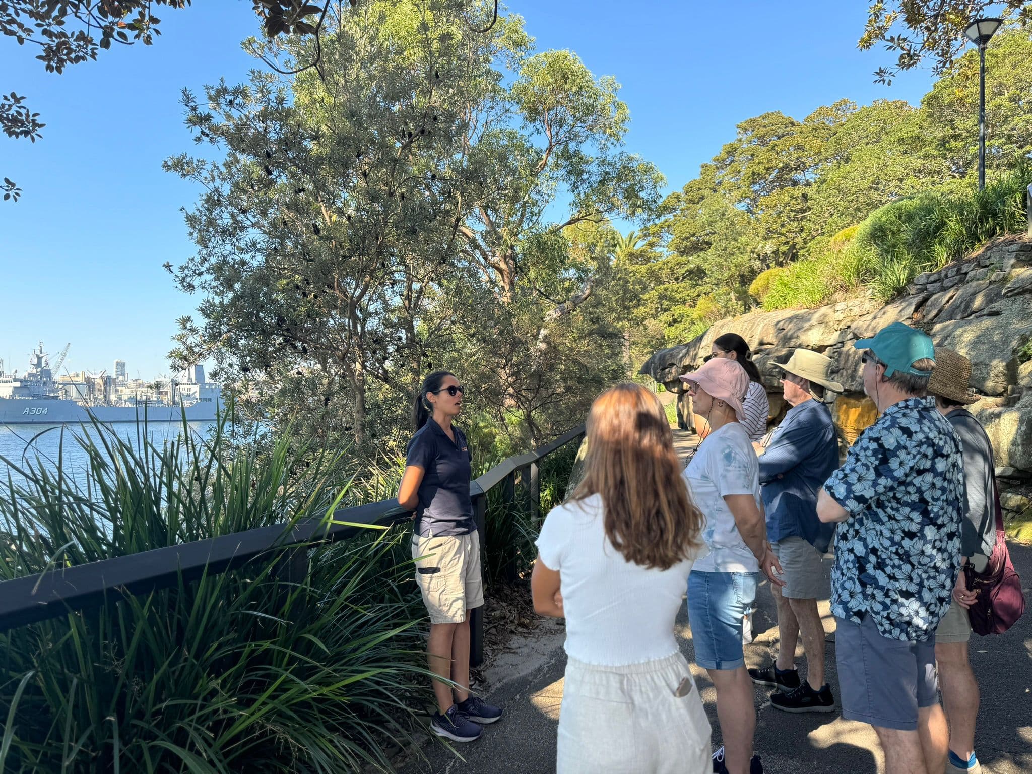 Sydney Sightseeing Guided Tour Including Bondi Beach - Half Day