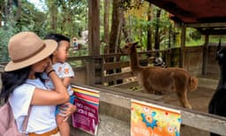 Taronga Zoo Entry and Return Ferry Combo
