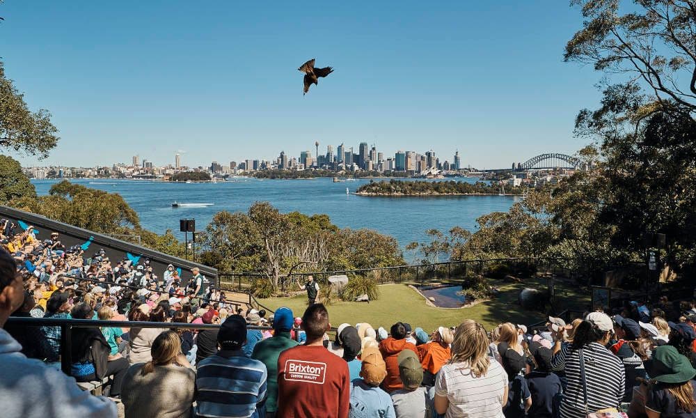 Taronga Zoo Entry and Return Ferry Combo
