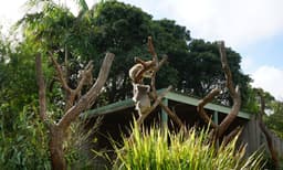 Symbio Wildlife Park Entry Tickets
