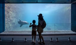 Taronga Zoo Sydney General Admission Tickets