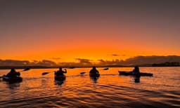 Sydney Harbour Sunrise Kayak with Breakfast - 2 Hours