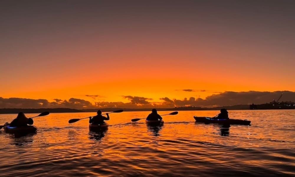 Sydney Harbour Sunrise Kayak with Breakfast - 2 Hours