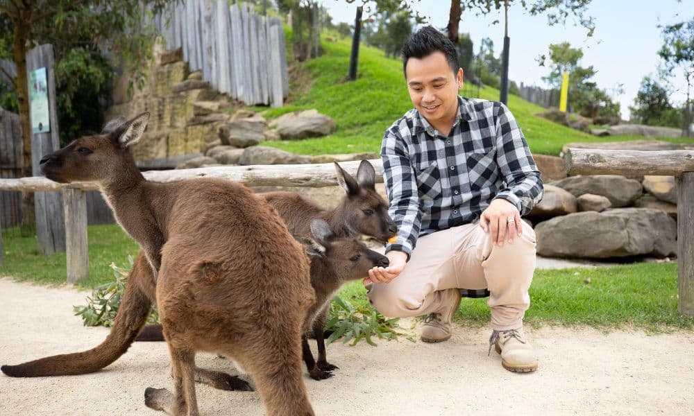 Blue Mountains All Inclusive Full Day Tour with Scenic World