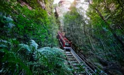 Blue Mountains All Inclusive Full Day Tour with Scenic World