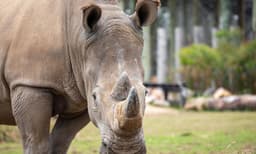 Sydney Zoo Admission Tickets