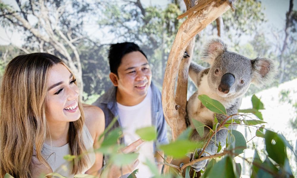 Sydney Zoo Admission Tickets
