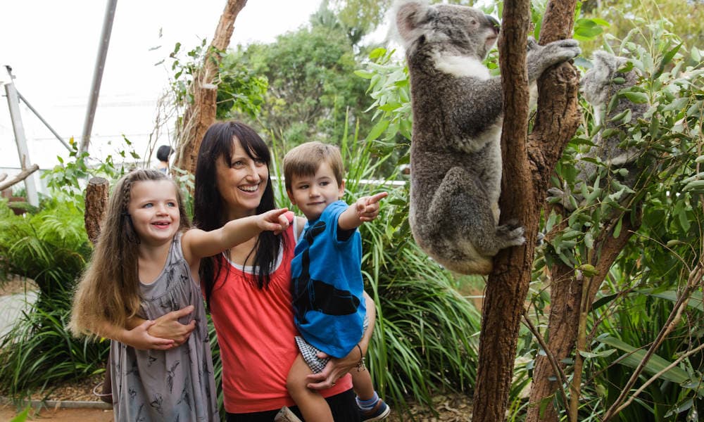Sydney Attractions Pass - 3 Attractions